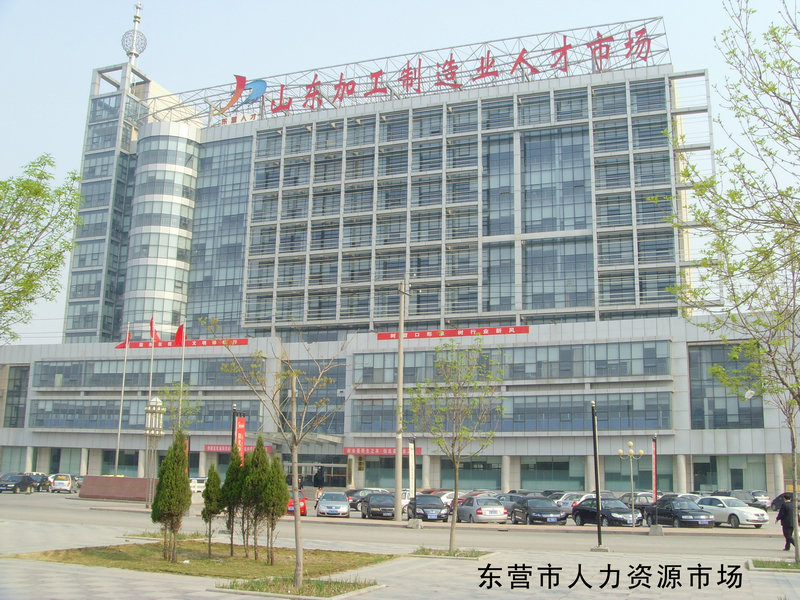東營市人力資源市場