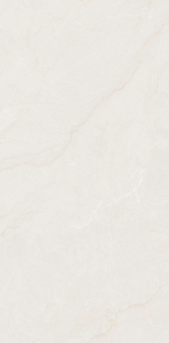 阿曼尼 QHGA85812產(chǎn)品圖