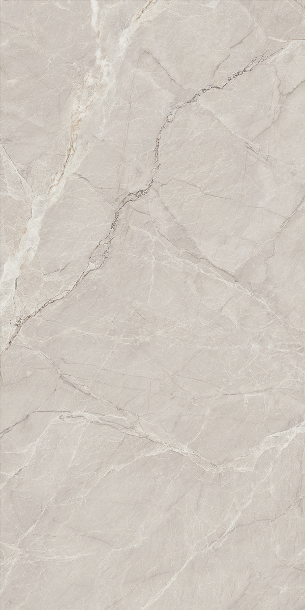 銀鼎灰 DLL918123T產品圖