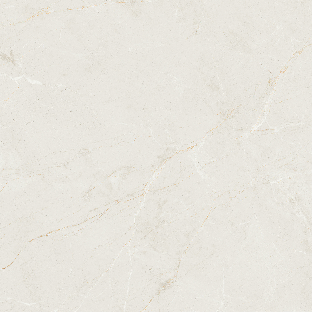 素羅紗 QZ80E607E 產品圖