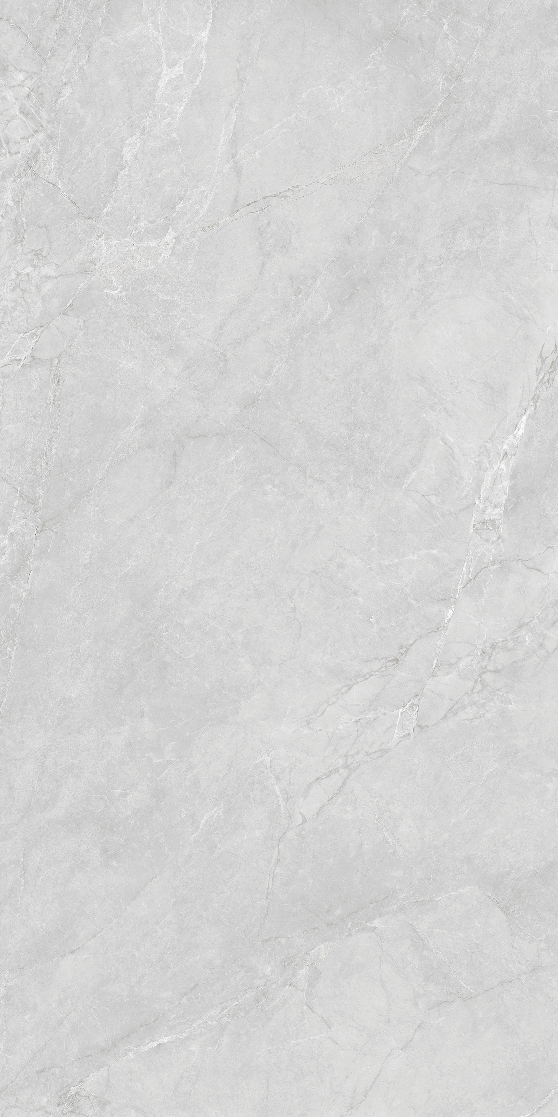 納斯卡 DLL715629T產品圖