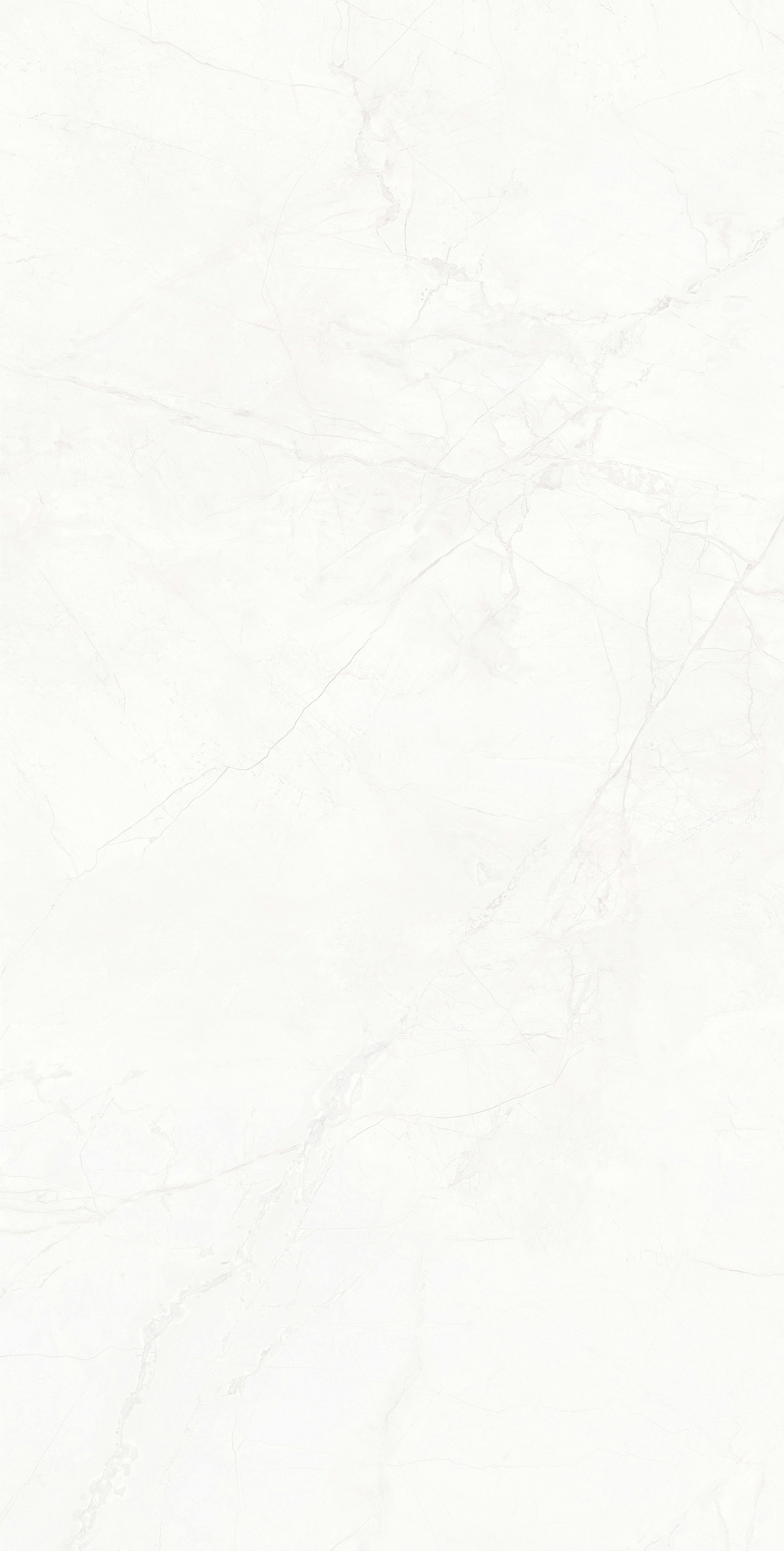 暮雪白 DLL715632B產品圖