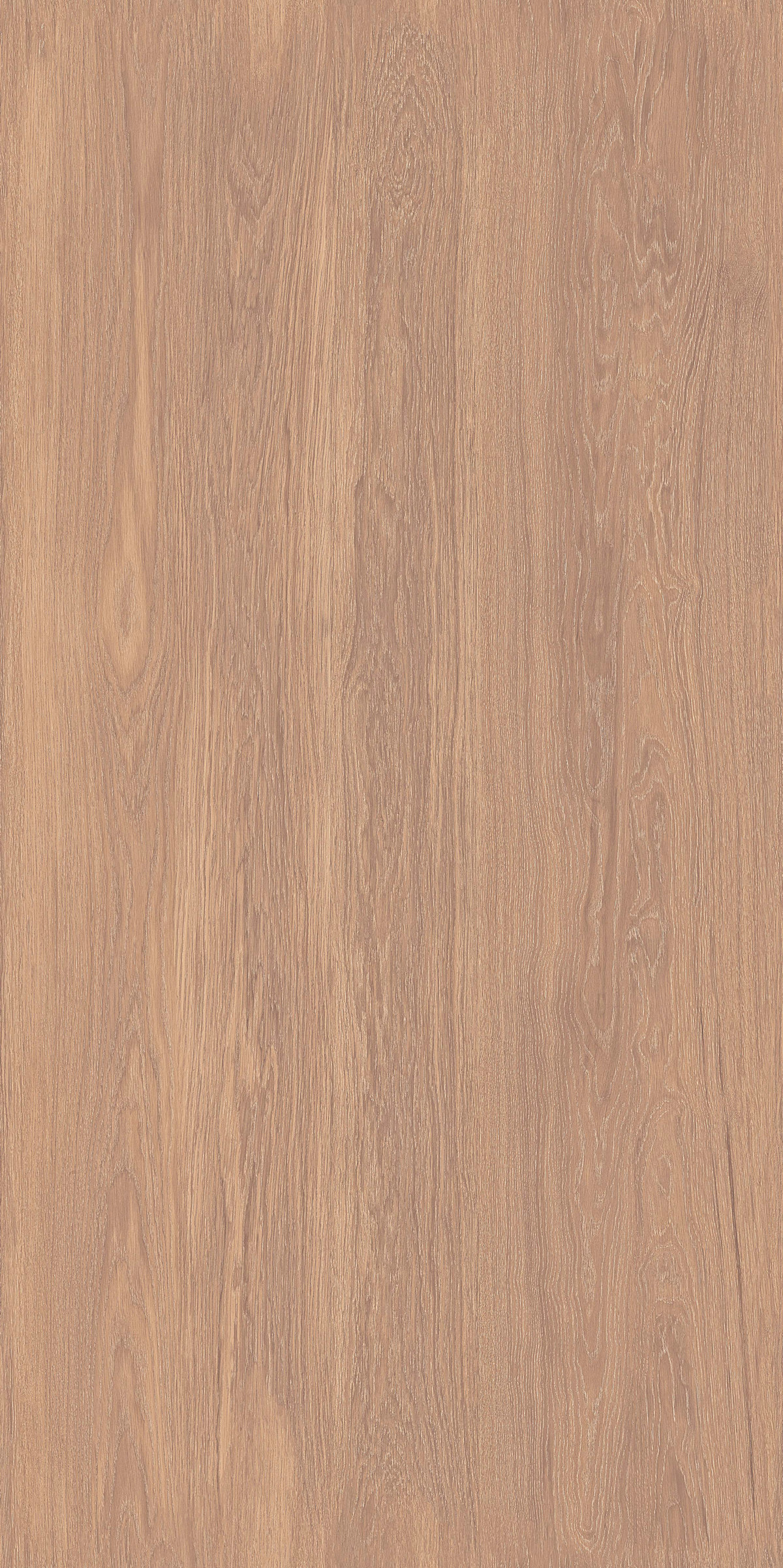 炭染榆木 FMJR126212C 