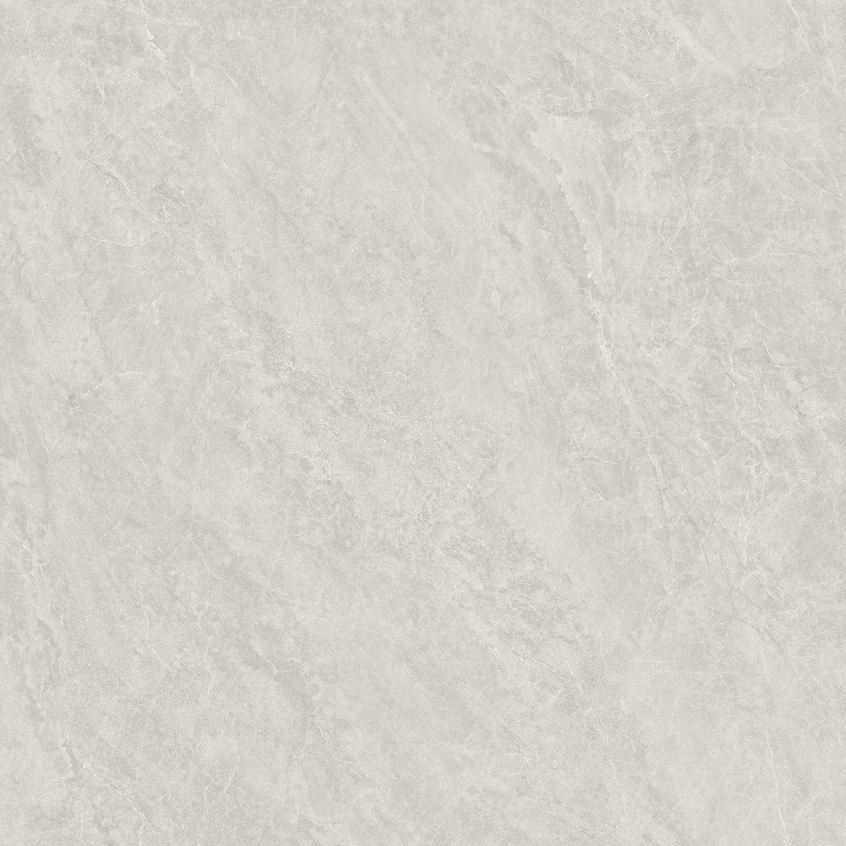 庫克灰 WAP82945B 產(chǎn)品圖