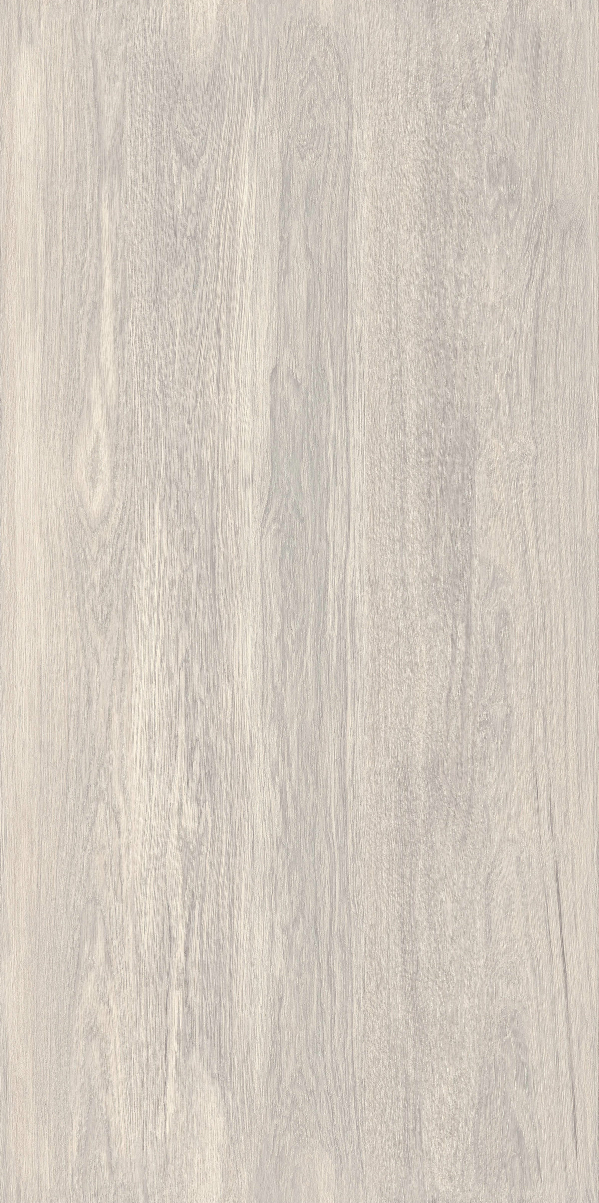 晨曦樺木 FMJR126211C 產(chǎn)品圖