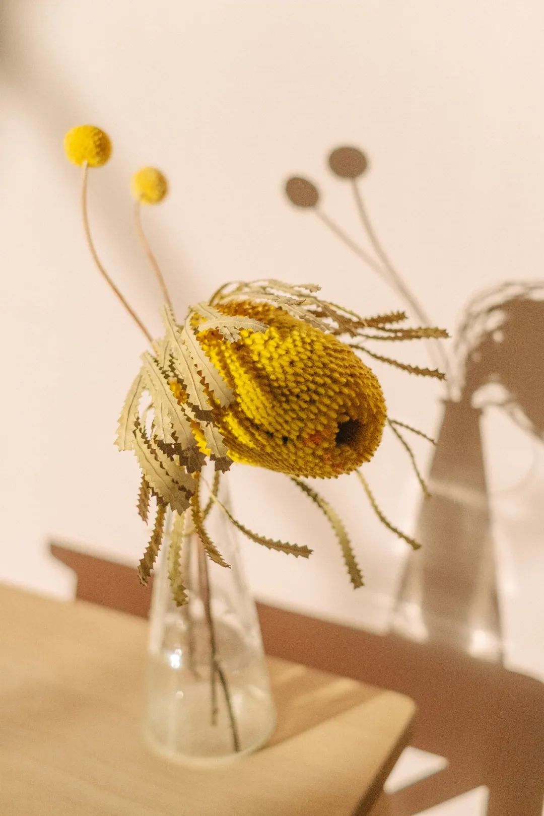 母親節 | 特別的禮物,給特別的她!