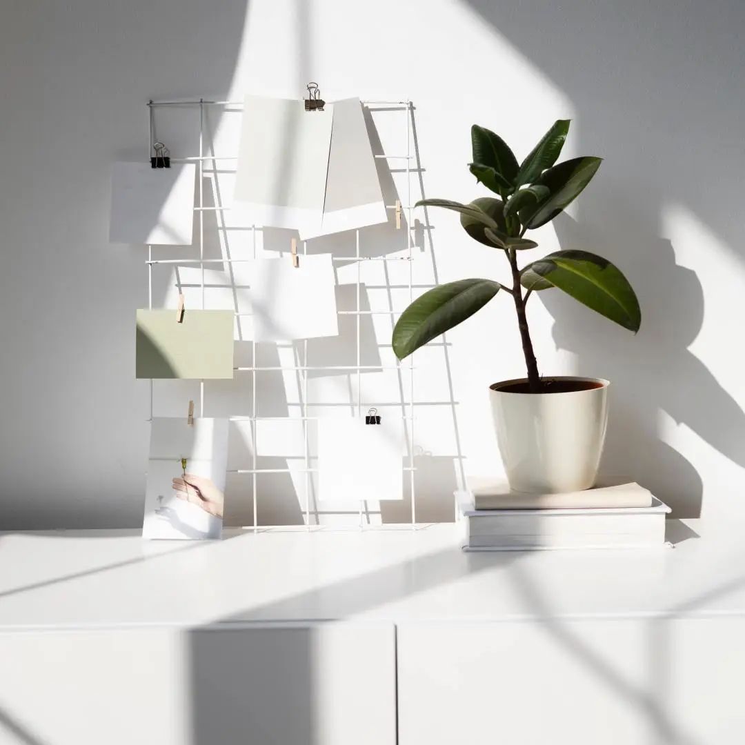 想打造質(zhì)感家?當(dāng)然要從素色開始!