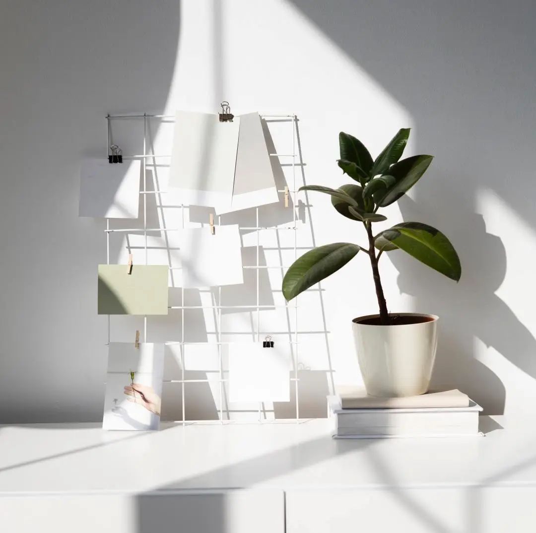 想打造質感家?當然要從素色開始!(圖2) 想打造質感家?當然要從素色開始!(圖2)