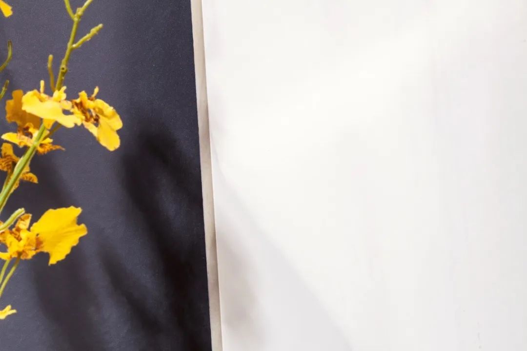 【第6輯】尋找摯美家 | 雅而不俗,解鎖輕奢潮流家居風格(圖25) 【第6輯】尋找摯美家 | 雅而不俗,解鎖輕奢潮流家居風格(圖25)