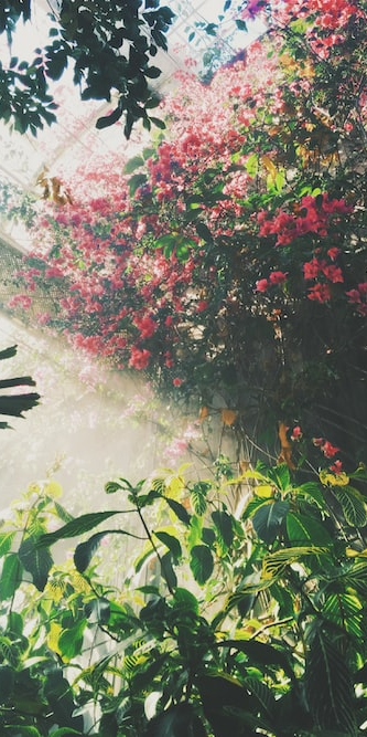 艾特思巖板系列?落日平沙 | 享受光影漫游的藝術體驗(圖7) 圖片