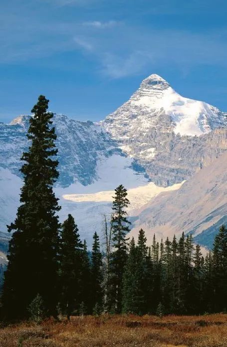 強輝900×1800mm規格產品上新,邀您開啟雅奢新生活(圖6) 圖片