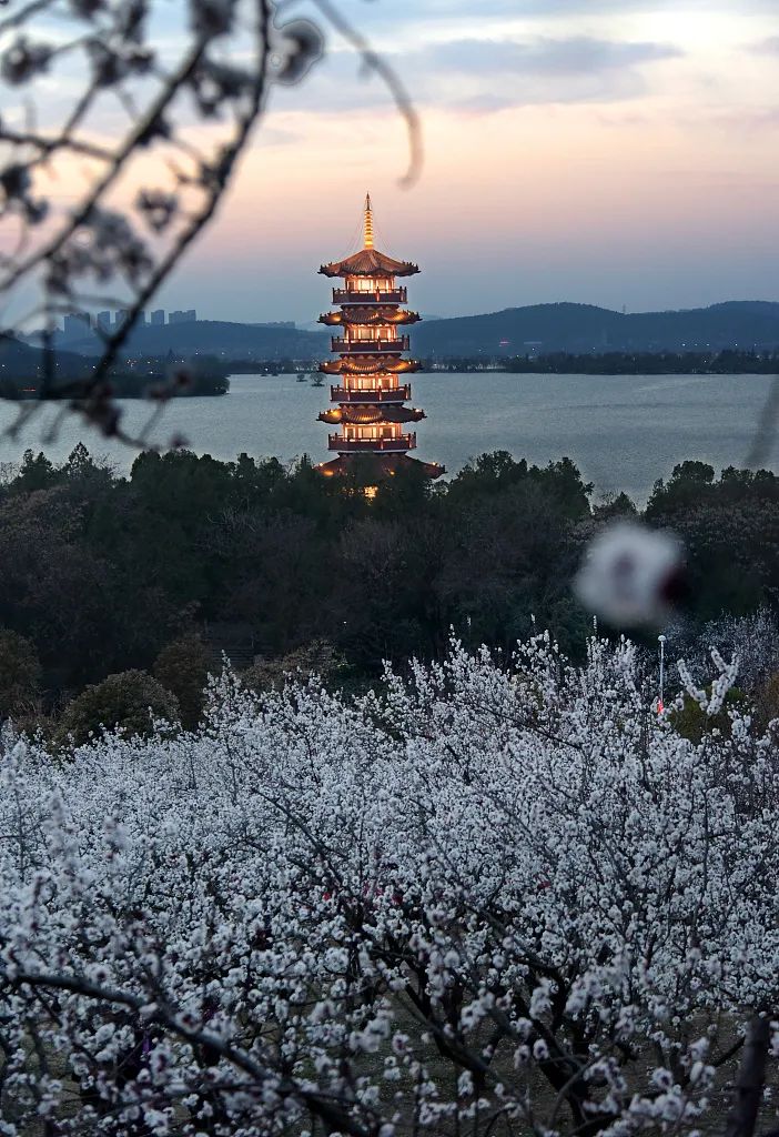 e5cb88a15981447541957b51a30a89b0u5.jpg 圖片