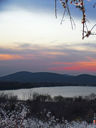 終端風(fēng)采 | 強(qiáng)輝沛縣旗艦店,營造舒適美學(xué)生活(圖3) 圖片