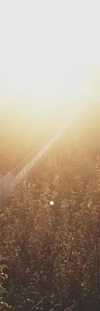 質感?原生石系列 | 1200×1800mm密縫連紋，開創無限世界(圖4)