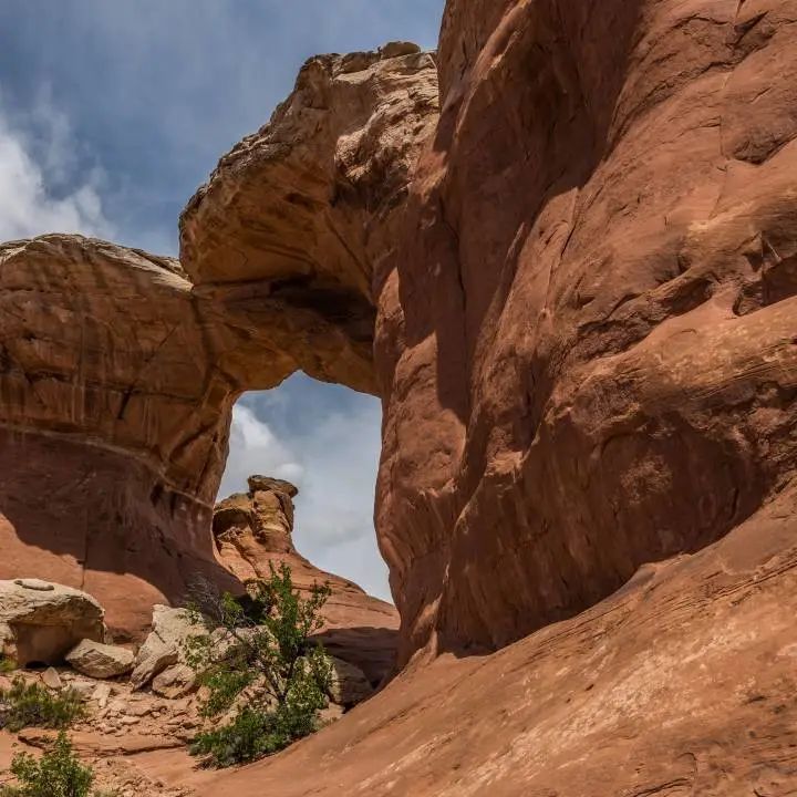 質感?原生石系列 | 1200×1800mm密縫連紋，開創無限世界(圖13)
