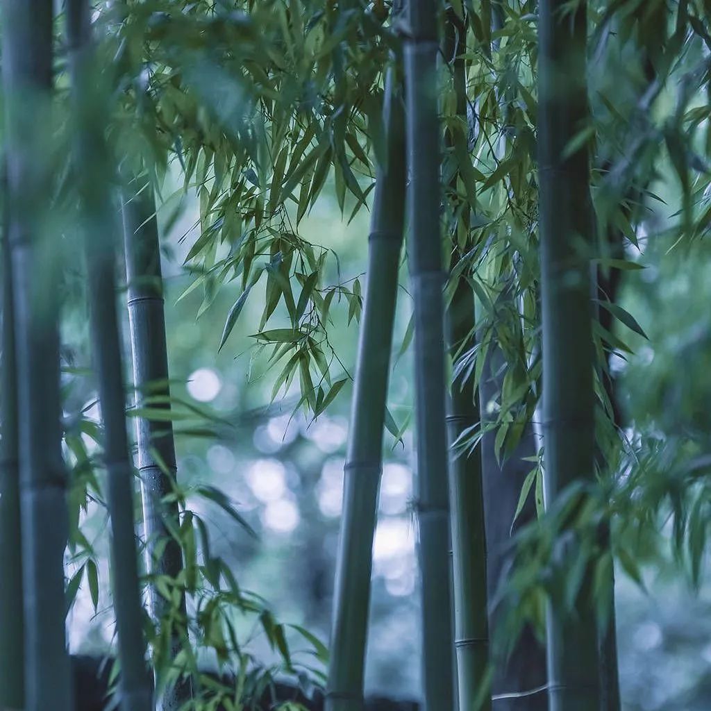 質感?原生石系列 | 1200×1800mm密縫連紋，開創無限世界(圖19)