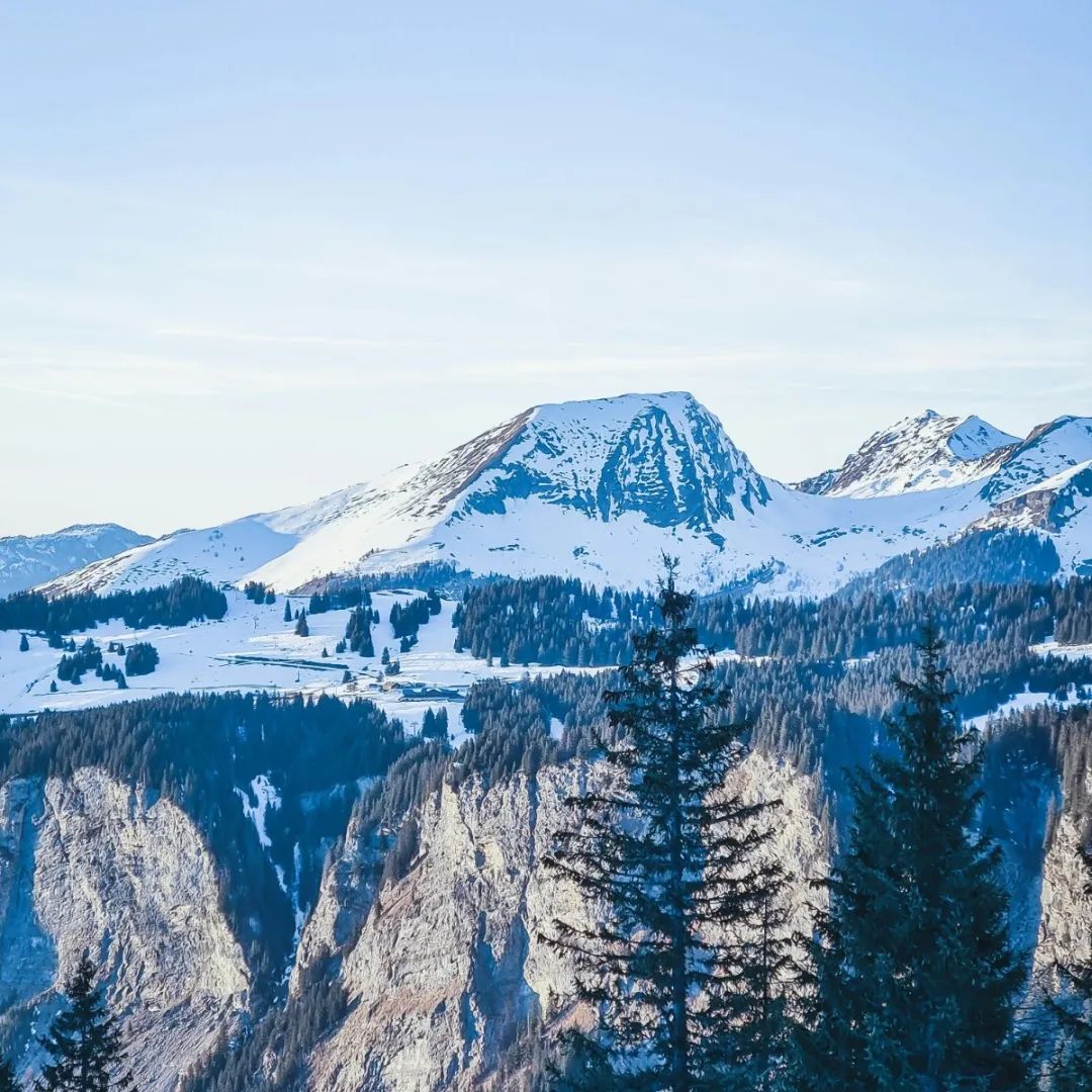 強輝精品石2.0 | 以品質降溫,夏日煥新顏(圖2) 強輝精品石2.0 | 以品質降溫,夏日煥新顏(圖2)