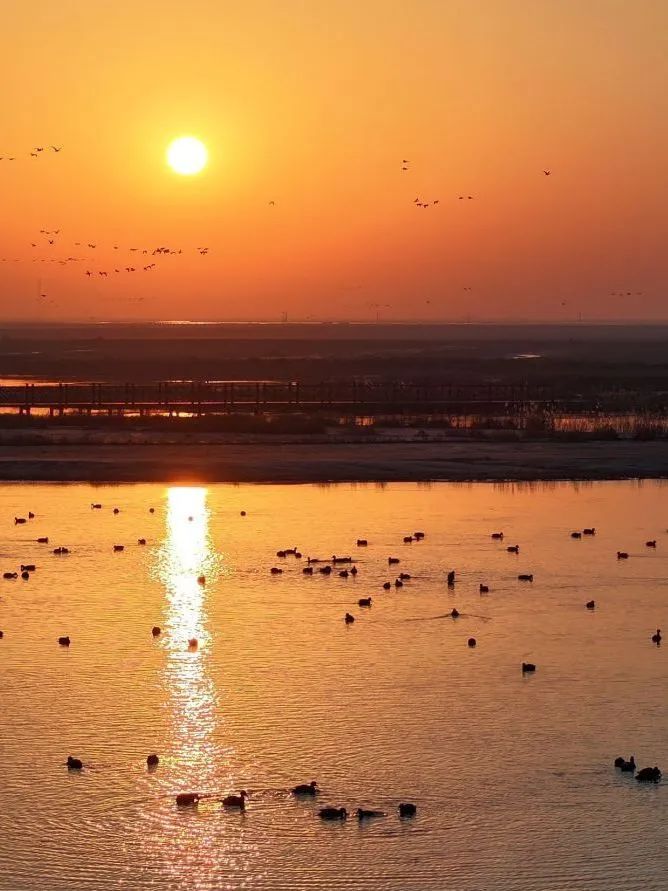 終端風(fēng)采 | 強(qiáng)輝東營旗艦店，探尋質(zhì)感空間的詩意生活(圖1)