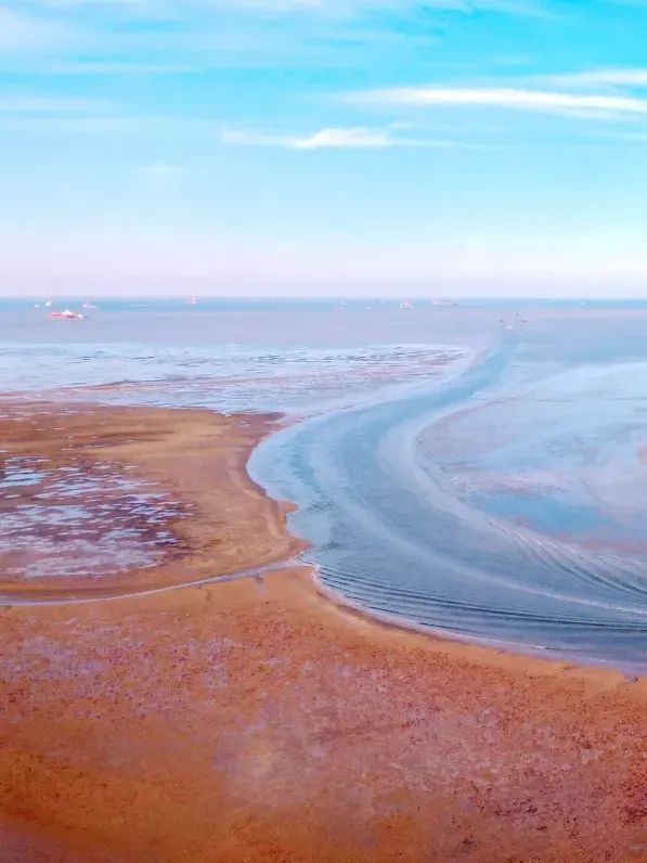 終端風(fēng)采 | 強(qiáng)輝東營旗艦店，探尋質(zhì)感空間的詩意生活(圖2)