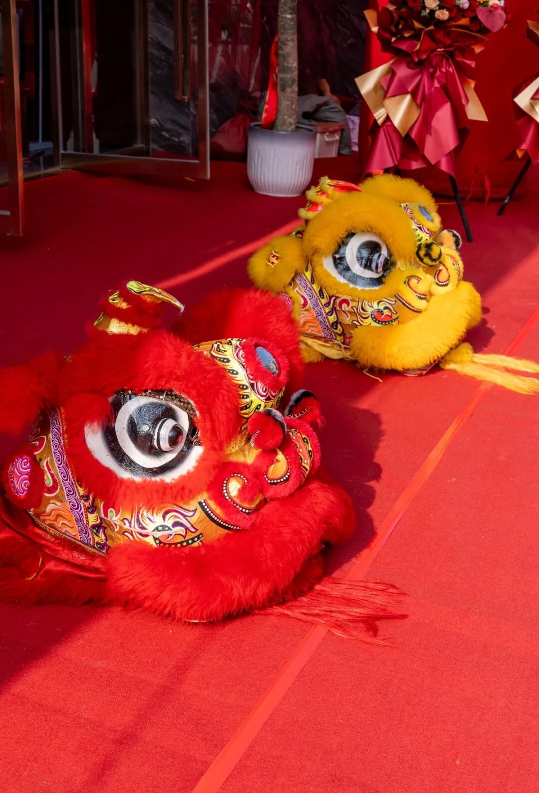 精工筑夢·摯友同行 | 強輝邢臺旗艦店煥新開業(圖3)